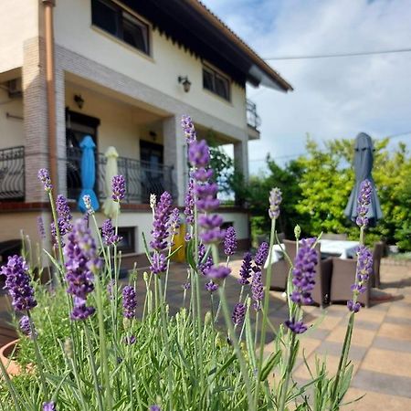 Apartman Nada Ozalj Ngoại thất bức ảnh