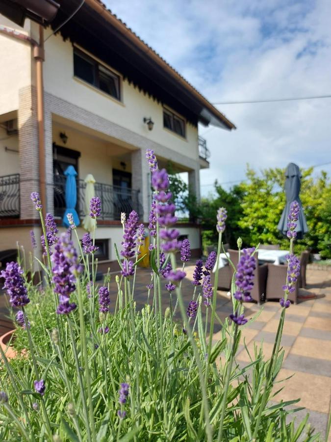 Apartman Nada Ozalj Ngoại thất bức ảnh
